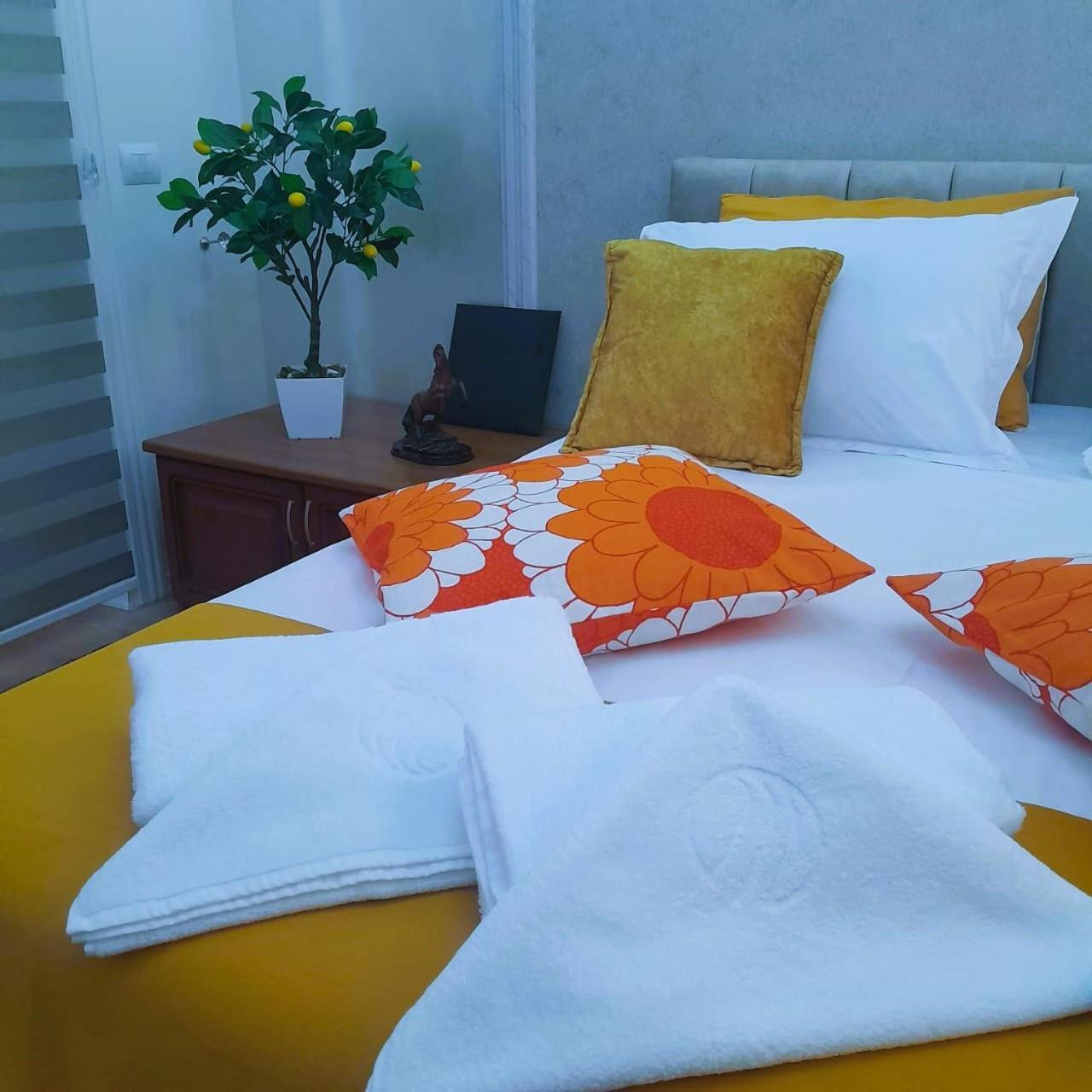 Bani'S Cozy Lovely Apt تيرانا المظهر الخارجي الصورة